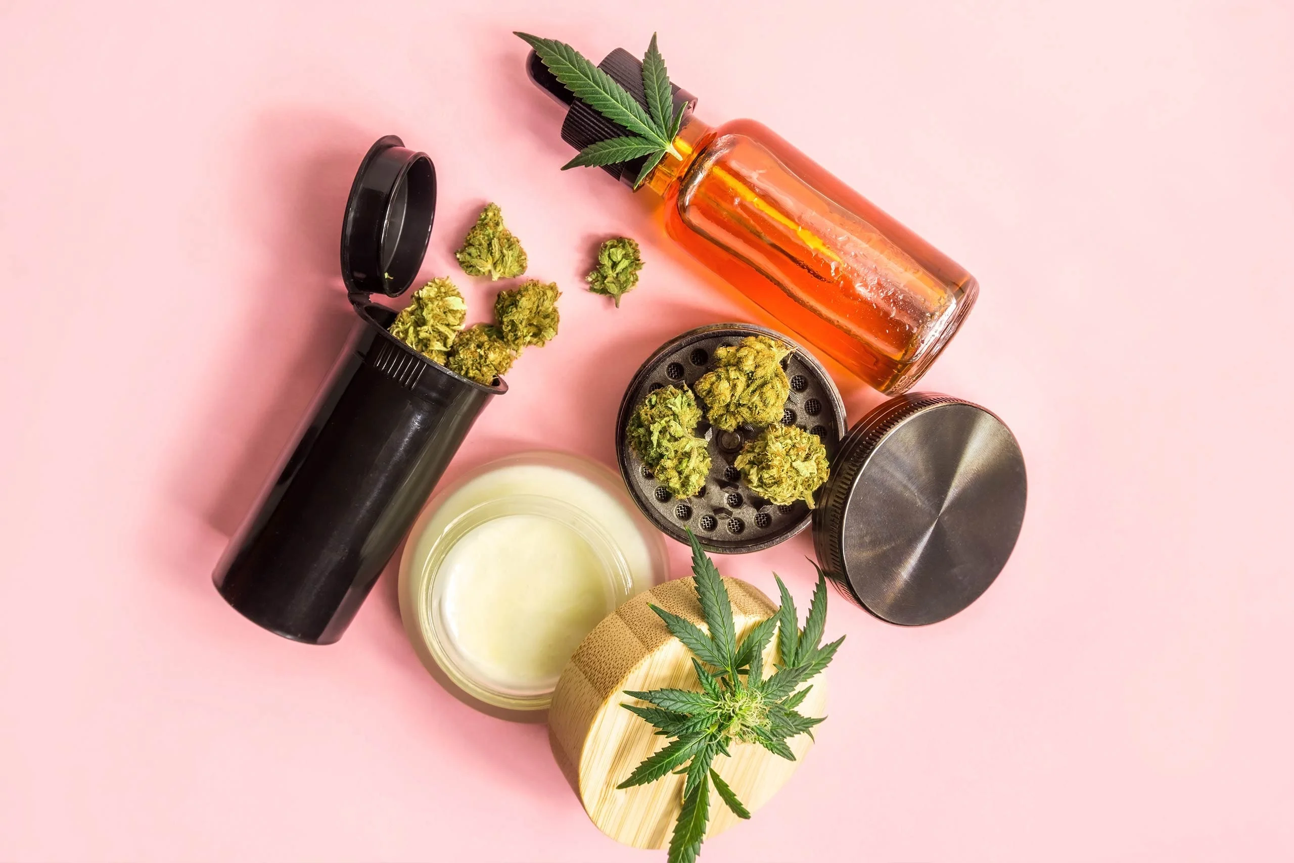 Painting the Whole Picture: The GŪD Ecosystem