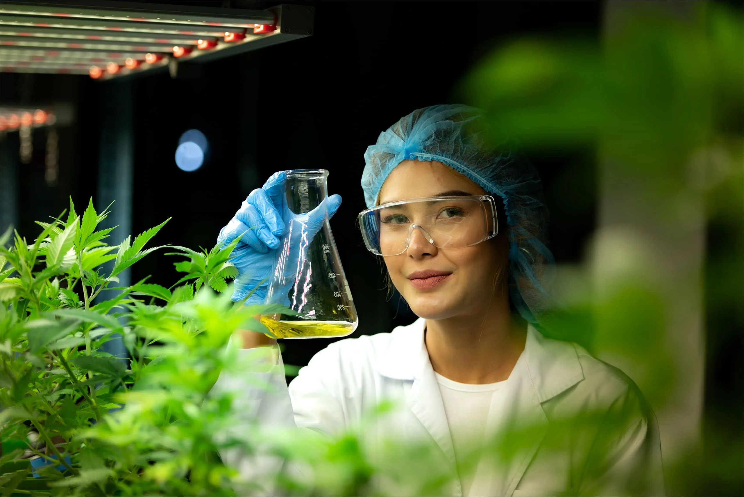 Farm Bill 2.0: A Pathway to Innovation